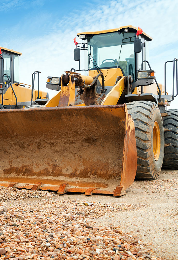 Professionel service